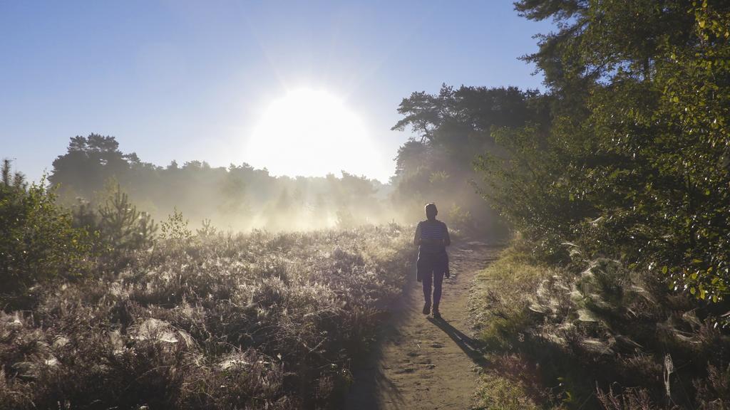 Landhuis Hotel De Herikerberg Markelo Bagian luar foto